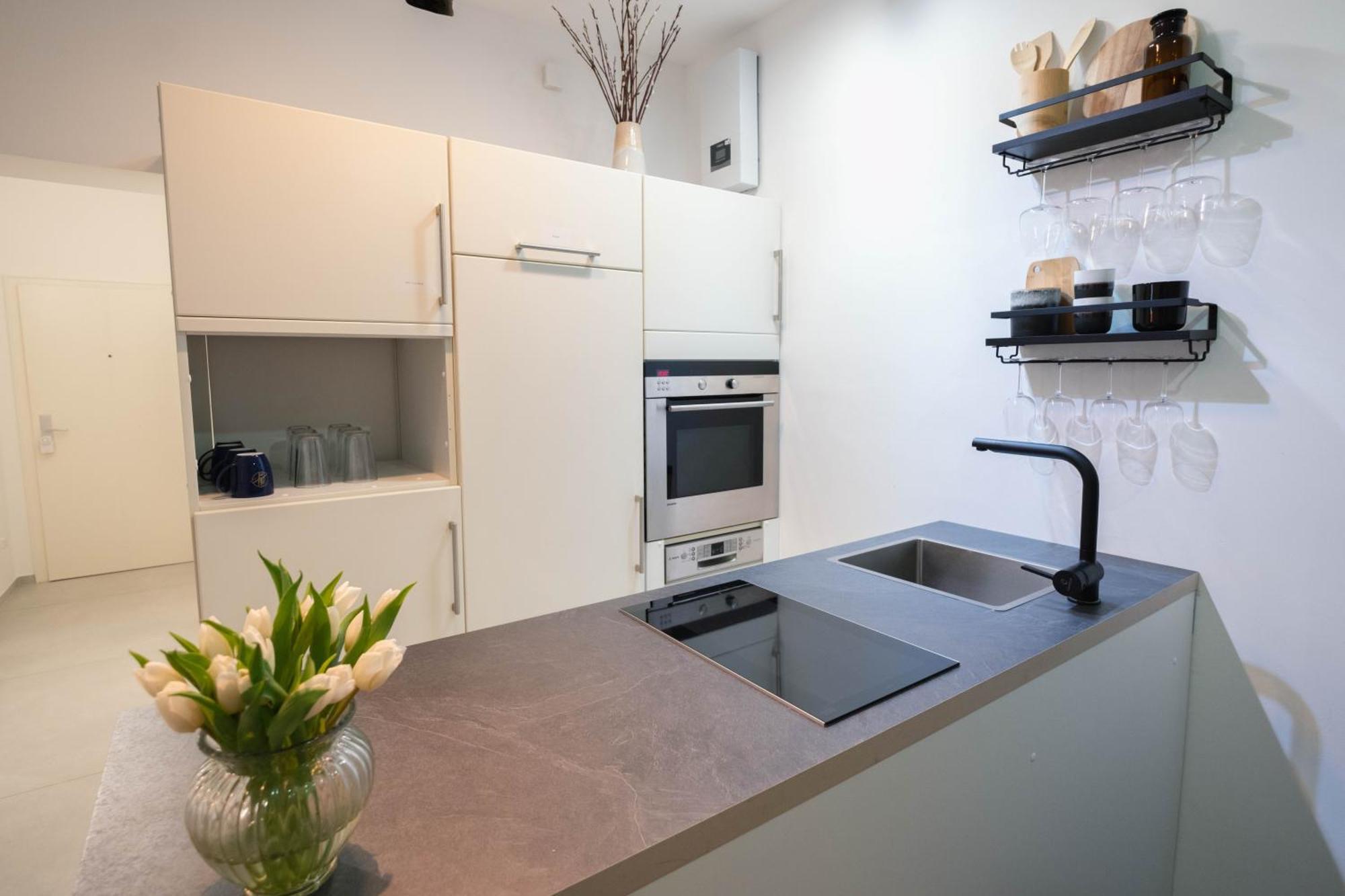 Tanic Deluxe Garden Industrial Fair Appartement Düsseldorf